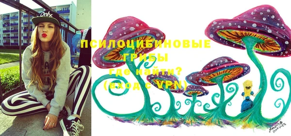 молекула духа Нязепетровск