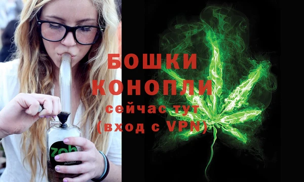 молекула духа Нязепетровск